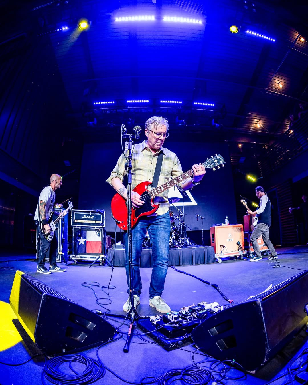 Toadies