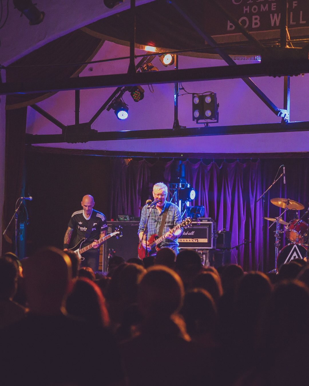 Toadies