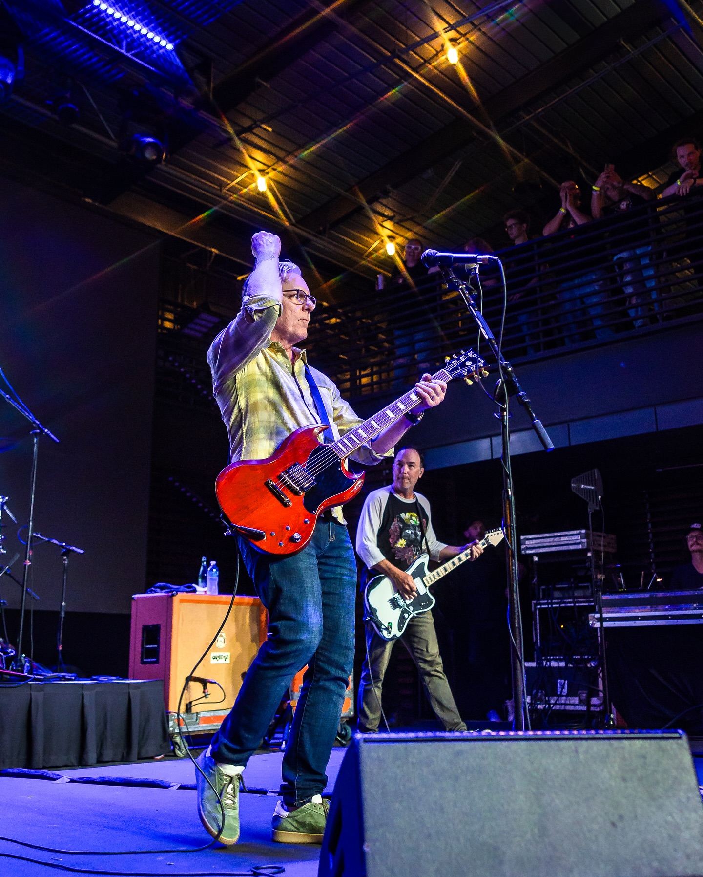 Toadies